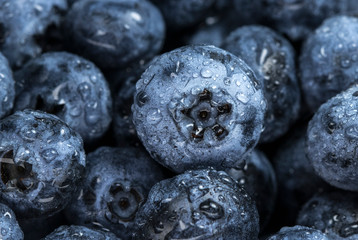 blueberry berry health and diets close-up macro with fresh water drops