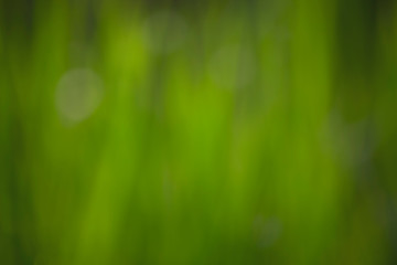 Obraz premium abstract background of blurred and soft white bokeh on blue