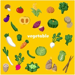  Vegetable illustration set vector