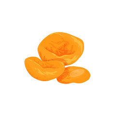 Dried apricots vector icon. 