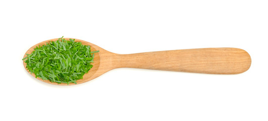 Acacia pennata or Cha Om leaf isolated on white background ,Green leaves pattern