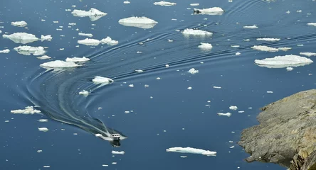 Schnellboot und Eisberge in Grönland Disko Bay © Uryadnikov Sergey
