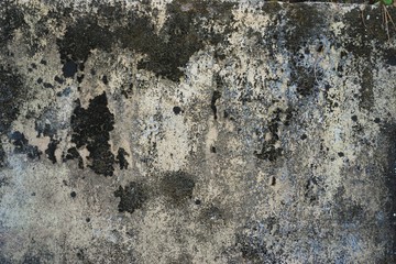 Closeup of funky ancient gray stone wall with blotches of black mold