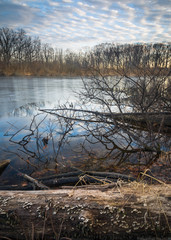 Sunset light on the shoreline of a frozen lake in winter.