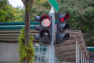 Pedestrian crossing traffic signal with timer and traffic lights at the intersection allow pedestrians and road traffic to use the crossing alternately. Transportation, Sign and Signaling system.