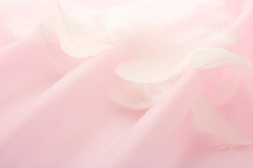 背景　羽根とオーガンジー