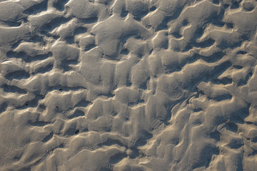 Ripples in sand