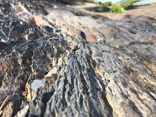closeup of the blue cliff