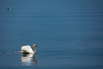 Lugano lake - Switzerland