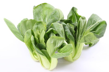 Chinese cabbage vegetable on a white background.