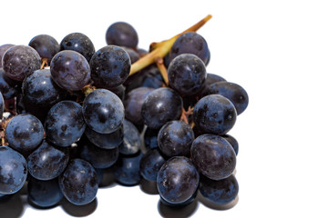 Bunches of dark grapes isolated on white background