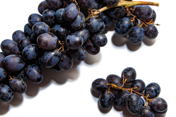Bunches of dark grapes isolated on white background