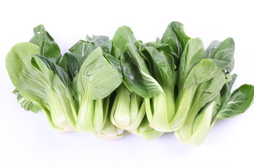 Chinese cabbage vegetable on a white background.