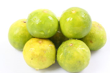 Lime on a white background.
