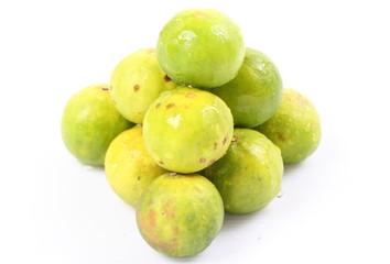 Lime on a white background.