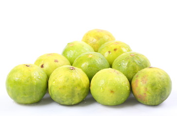 Lime on a white background.