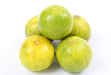 Lime on a white background.