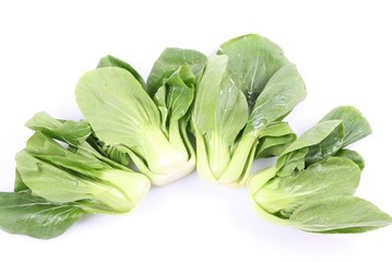 Chinese cabbage vegetable on a white background.