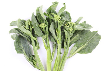 Green kale on a white background.