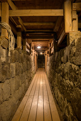 Obraz premium 八千代座【熊本県】