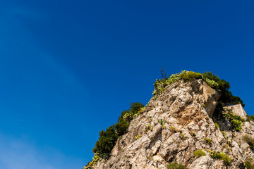 Close-up view of the rocky Castle Hill cliff with tropical trees and plants against the background of the clear blue sky (Nice, France)