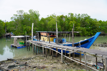 Pulau Ketam is in the intertidal zone and the chief vegetation is mangrove with fishing boat around.