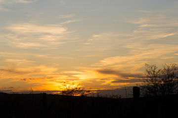 Tree against the setting sun. Landscape with bloody sunset. The terrain in southern Europe. Tragic gloomy sky. Purple-magenta clouds.