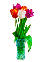 Bouquet of tulips in a vase, isolate. Concept mother's day, easter, spring, love, postcard.