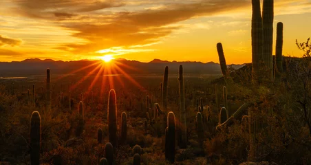 Fotobehang Woestijnzonsondergang in Tucson, Arizona © YUKOinSUNSHINE