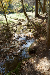 Japanese autumn mountains and river