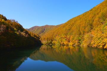 Fototapeta na wymiar Japanese autumn forest and dam lake