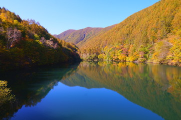 Japanese autumn forest and dam lake