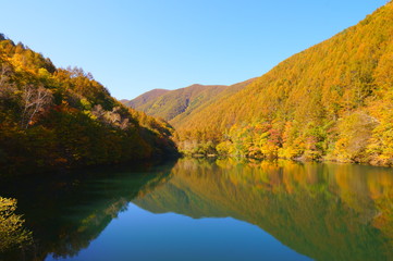 Japanese autumn forest and dam lake