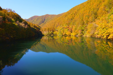 Japanese autumn forest and dam lake