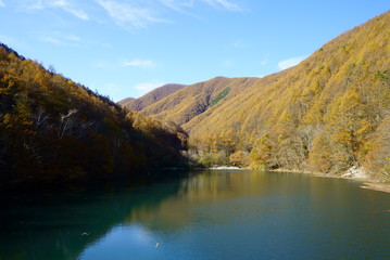 Japanese autumn forest and dam lake