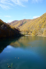 Fototapeta na wymiar Japanese autumn forest and dam lake