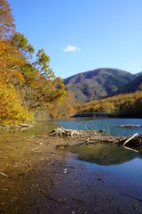 Japanese autumn forest and dam lake