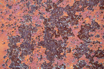 Wall with strong corrosion for the backdrop. Old paint double layer. Cracks, peeling. Primary colors: Oriental Pink, Lonestar.