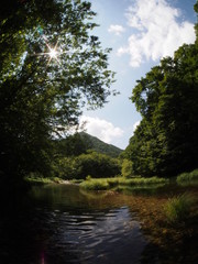 Japanese forest and mountain stream water
