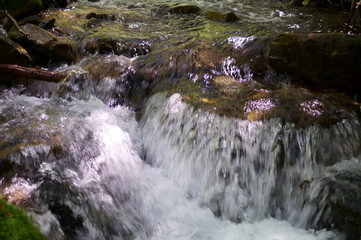 Japanese mountain stream and moss