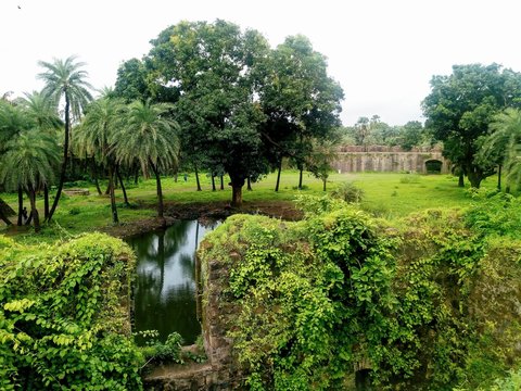 A pond in between Nature