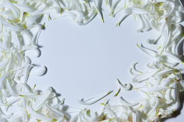 an empty space bounded by white petals