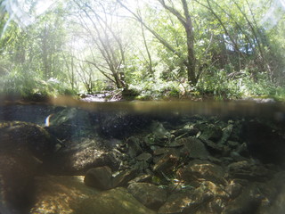 Underwater photo of mountain stream