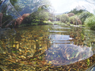 Underwater photo of mountain stream