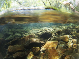 Underwater photo of mountain stream