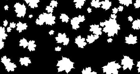 Falling Autumn leaves on black background for Thanksgiving Halloween party. 3D rendering