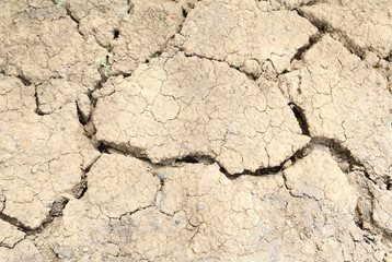 cracked earth background