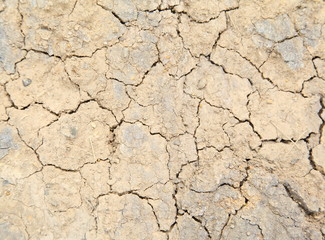 cracked earth background