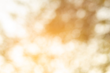 Light bokeh decorate  dreamy glamour blur the abstract background, Festive defocused lights, valentine day love beautiful,  Concept: Iridescent glitter empty defocused bokeh   modern pattern  2020 