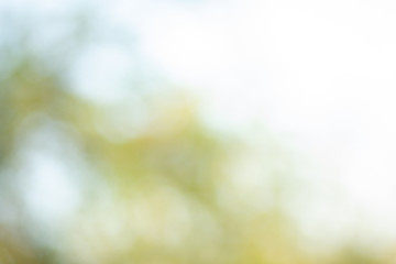 Light bokeh decorate  dreamy glamour blur the abstract background, Festive defocused lights, valentine day love beautiful,  Concept: Iridescent glitter empty defocused bokeh   modern pattern  2020 